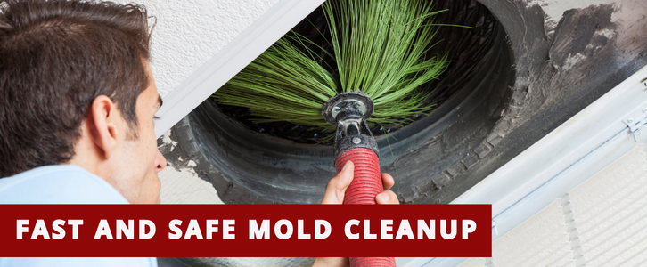 Air Duct Mold Removal in Philadelphia